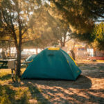 Çadır & Araç Üstü Çadır 